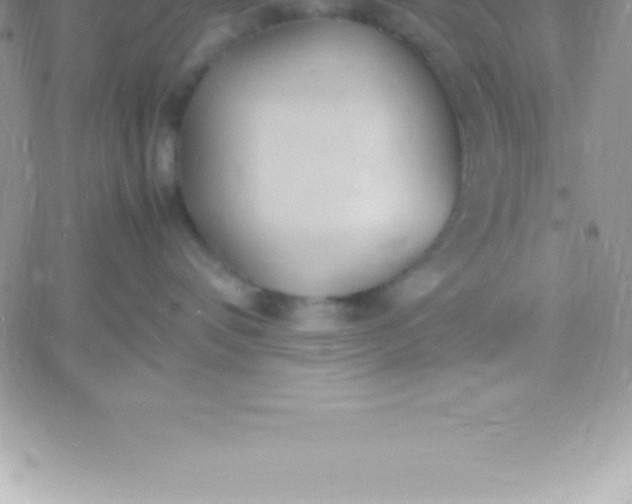 X0000060750336200511241709