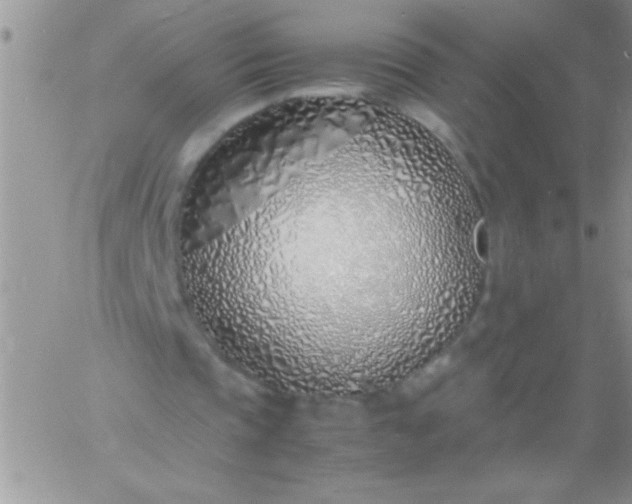 X0000060750337200511241709