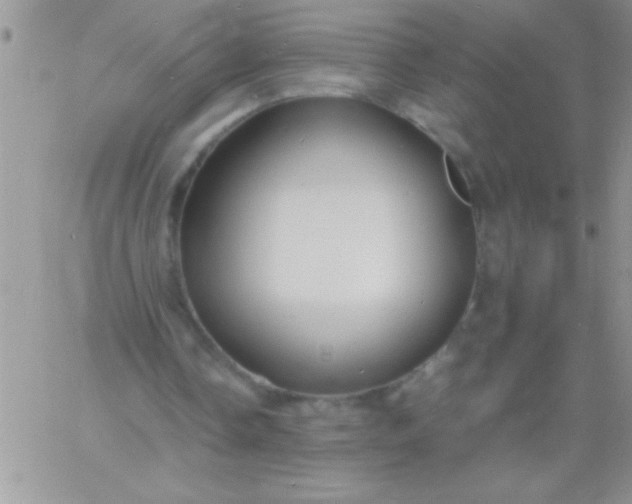 X0000060750338200511241709