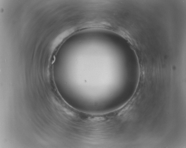 X0000060750340200511241709