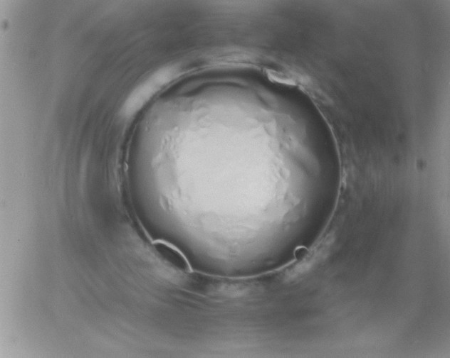 X0000060750341200511241709