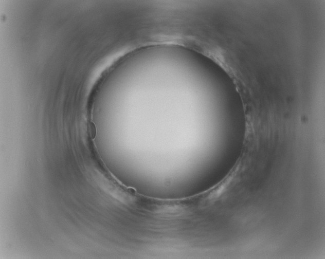 X0000060750342200511241709