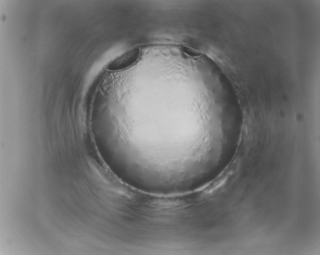 X0000060750343200511241709