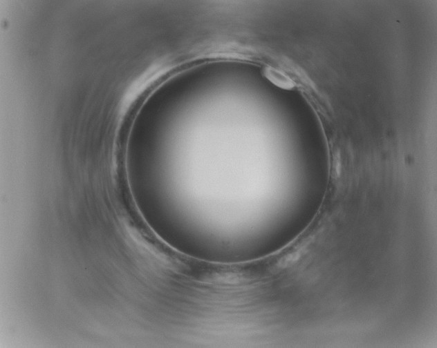 X0000060750344200511241709