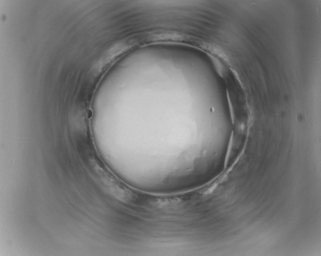 X0000060750345200511241709