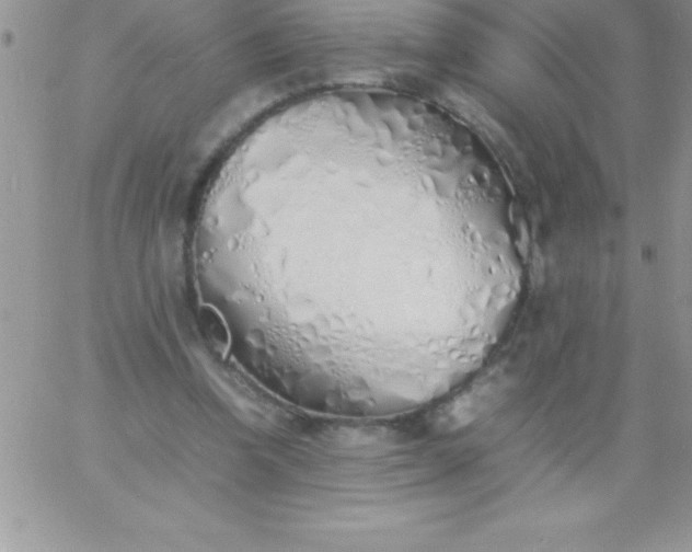 X0000060750346200511241709