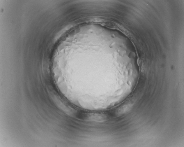 X0000060750347200511241709