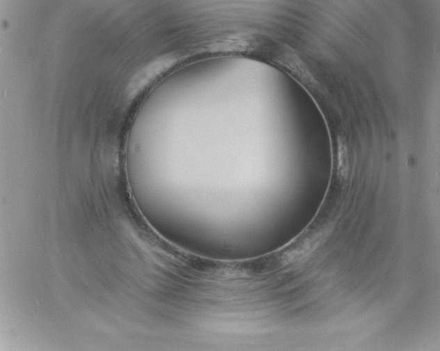 X0000060750348200511241709