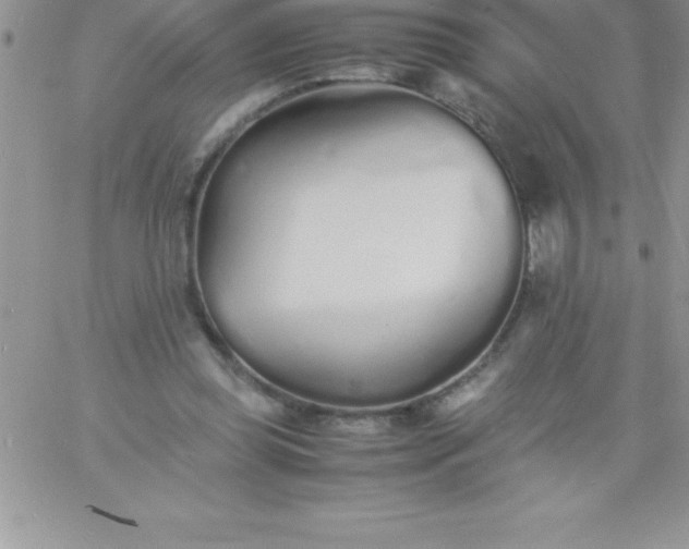 X0000060750349200511241709