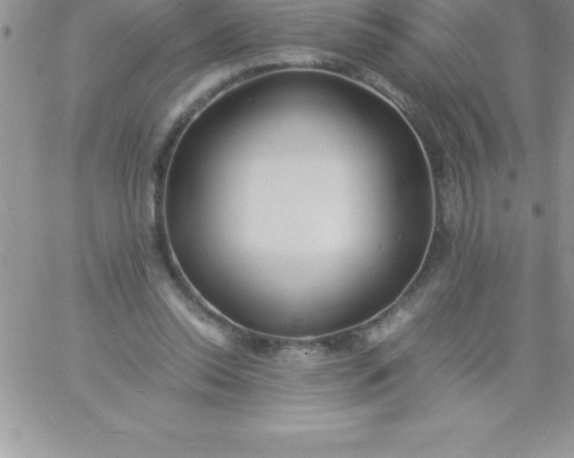 X0000060750350200511241709