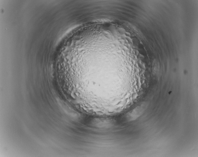 X0000060750351200511241709