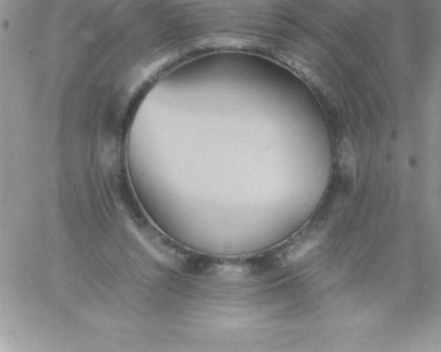 X0000060750352200511241709