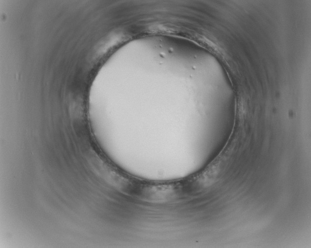 X0000060750353200511241709