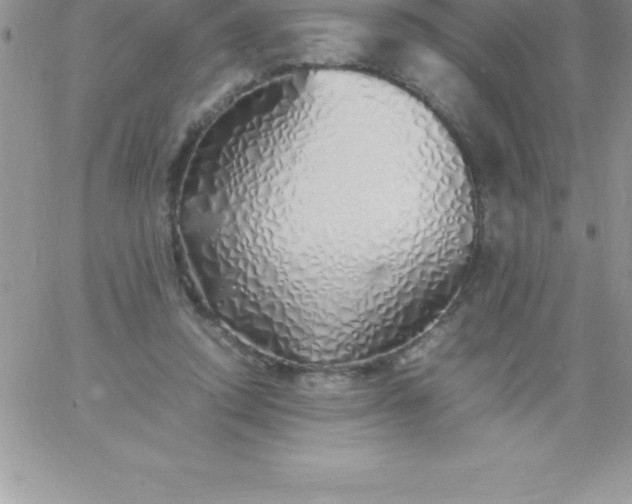 X0000060750354200511241709