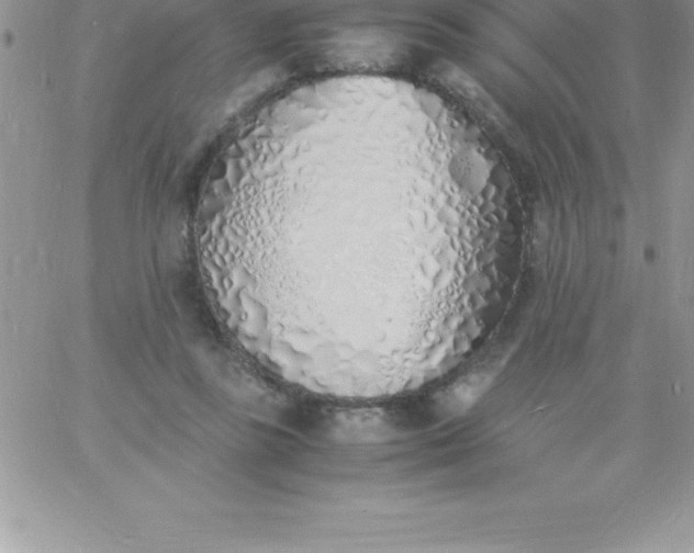 X0000060750355200511241709