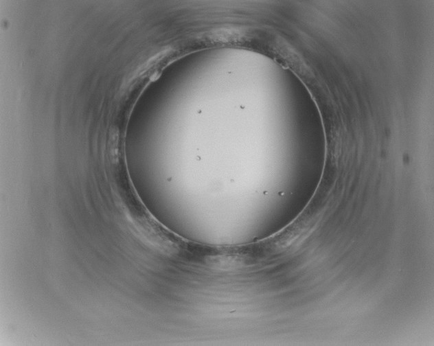 X0000060750356200511241709