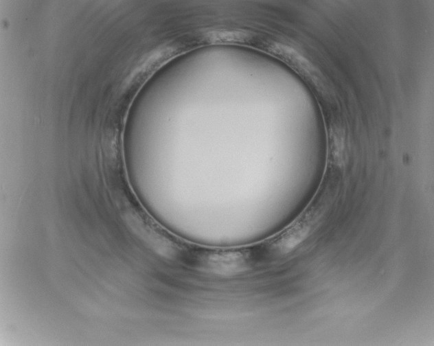 X0000060750357200511241709