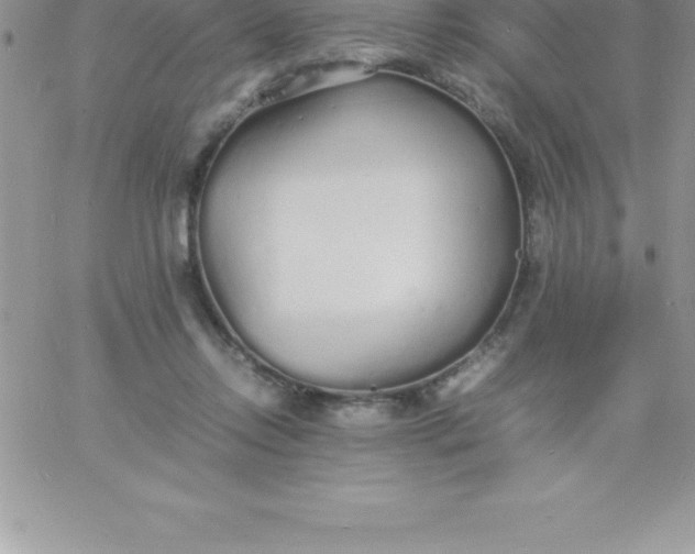 X0000060750358200511241709