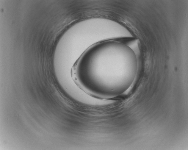 X0000060750359200511241709