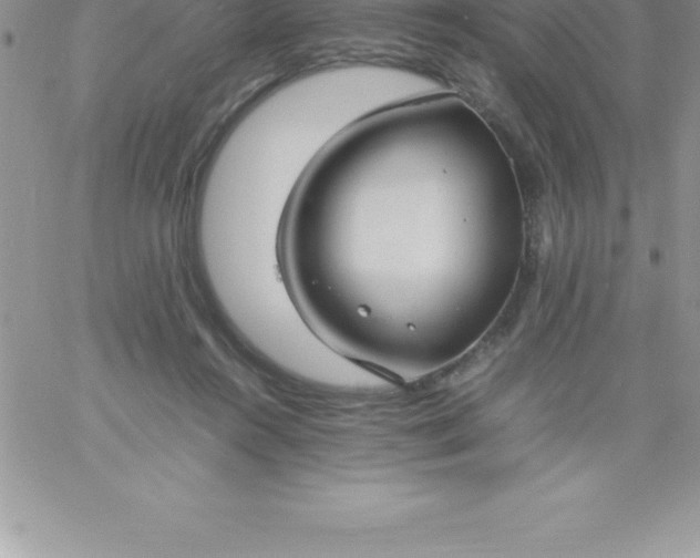 X0000060750360200511241709