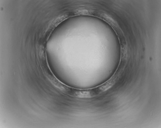 X0000060750361200511241709