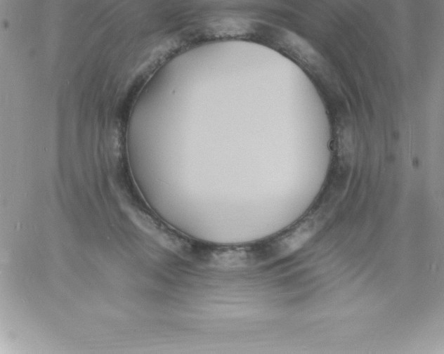 X0000060750362200511241709