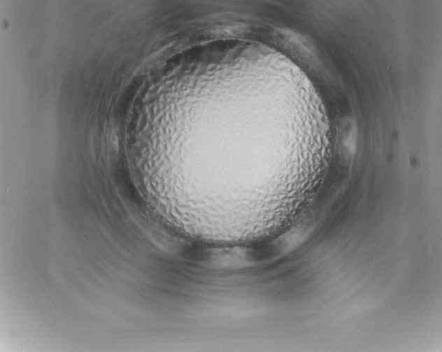 X0000060750363200511241709