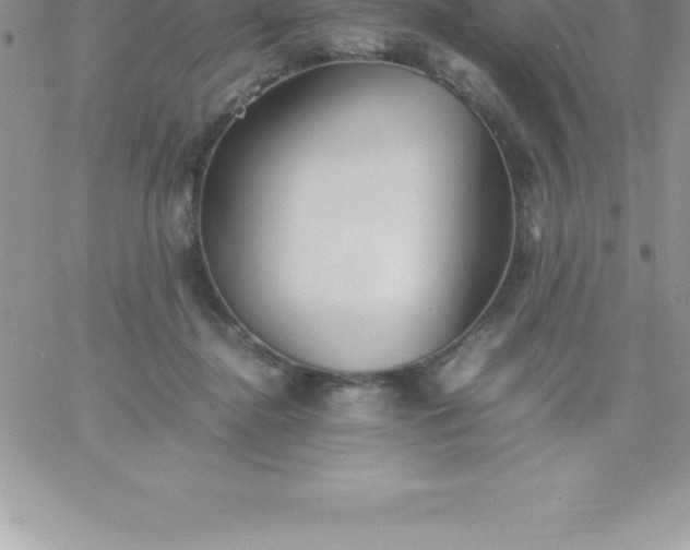 X0000060750364200511241709