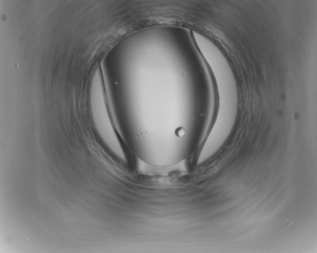 X0000060750365200511241709