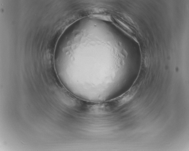 X0000060750366200511241709