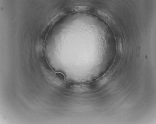 X0000060750367200511241709