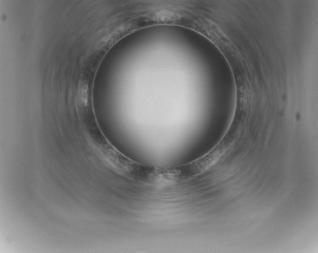 X0000060750368200511241709