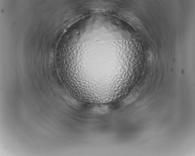 X0000060750369200511241709