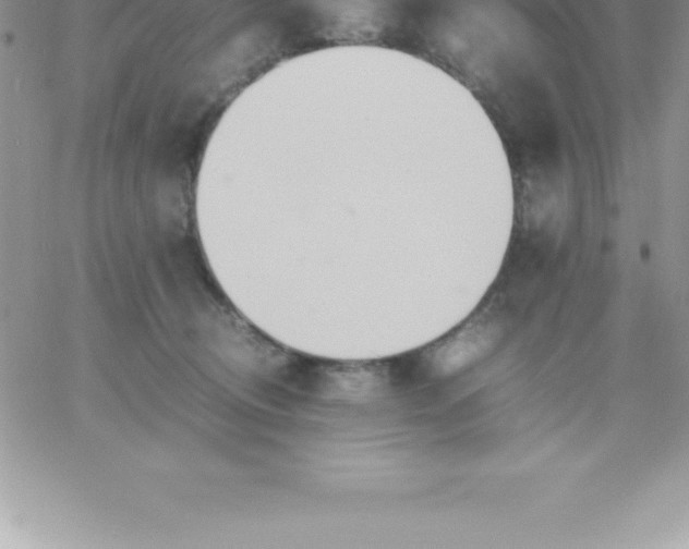 X0000060750370200511241709