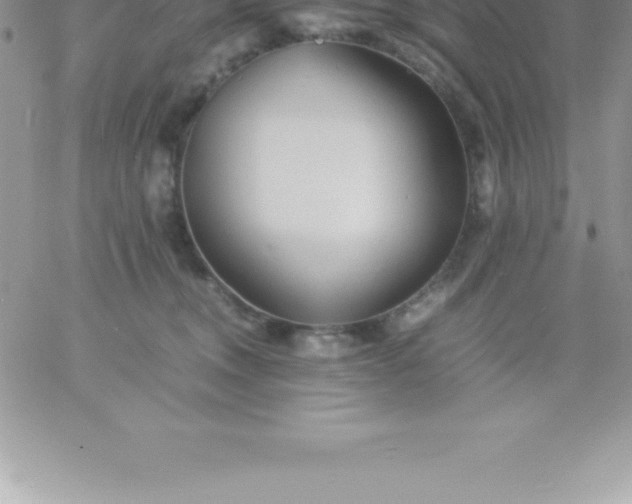 X0000060750372200511241709