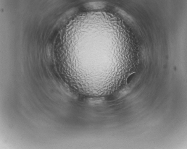 X0000060750373200511241709