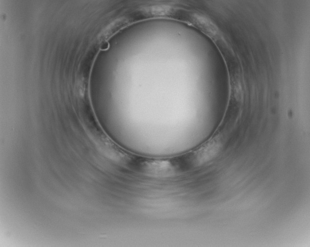 X0000060750374200511241709