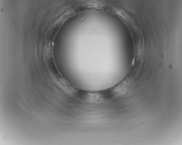 X0000060750376200511241709