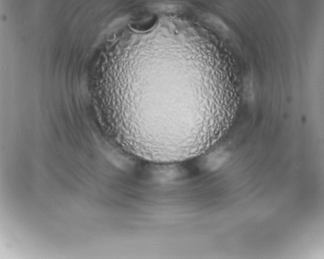 X0000060750377200511241709