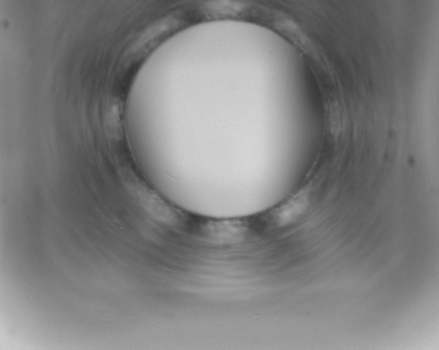 X0000060750378200511241709