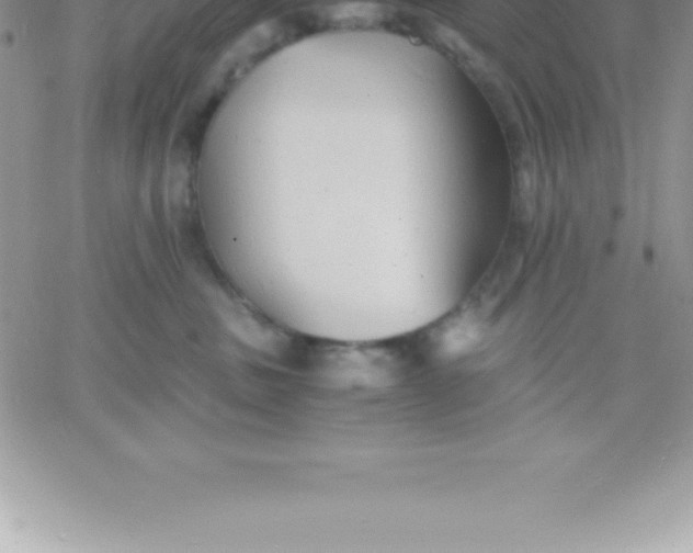 X0000060750379200511241709