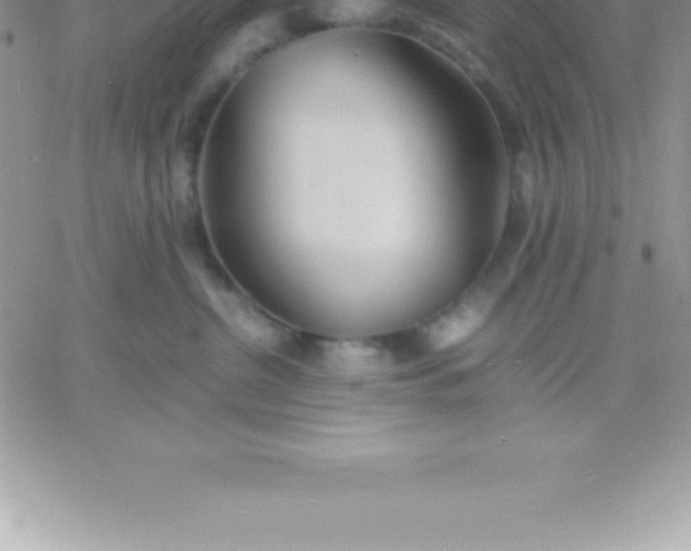 X0000060750380200511241709