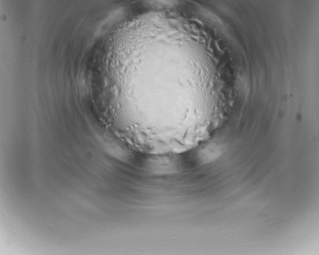 X0000060750381200511241709