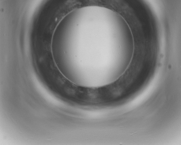 X0000060750382200511241709