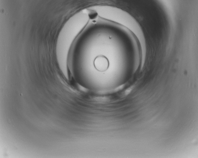 X0000060750383200511241709