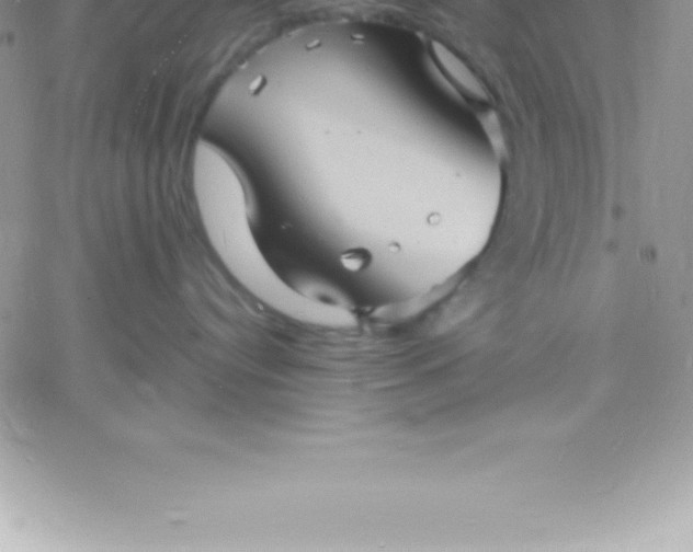 X0000060750384200511241709