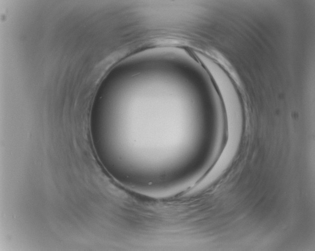 X0000060750385200511241709