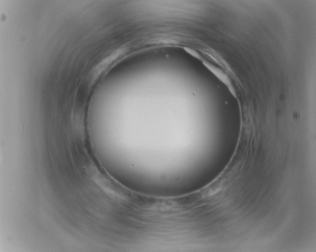 X0000060750386200511241708