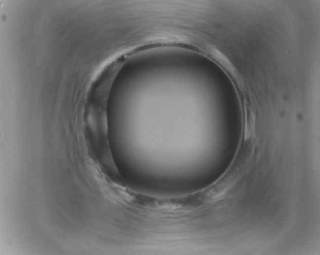 X0000060750387200511241708