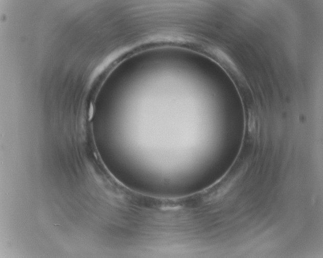 X0000060750388200511241708